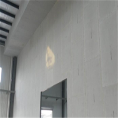 沂源宁波ALC板|EPS加气板隔墙与混凝土整浇联接的实验研讨